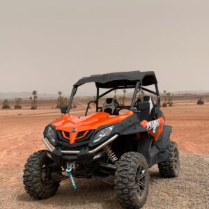 Buggy à la Palmeraie