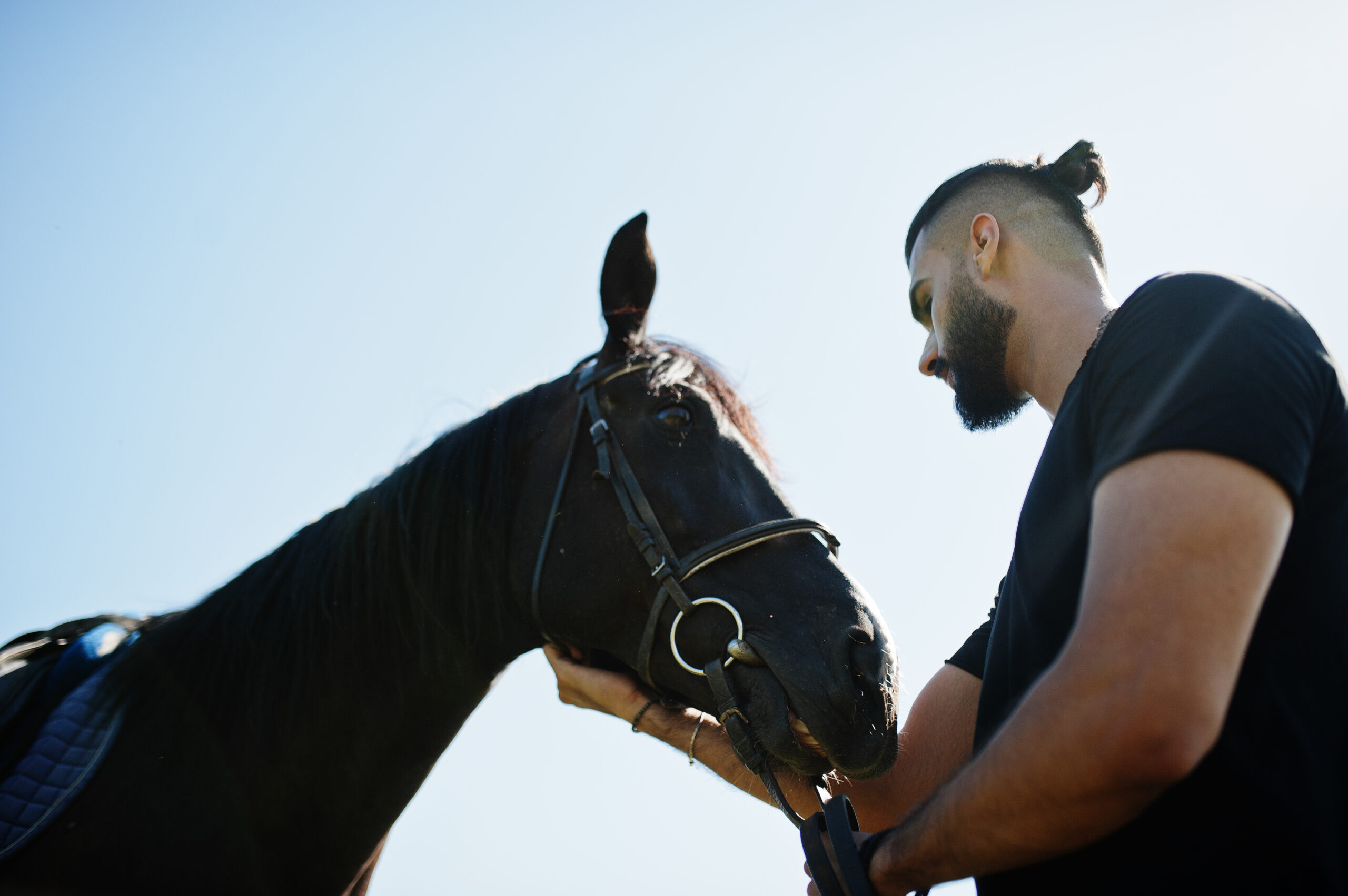 Arab tall beard man wear in black with arabian horse.