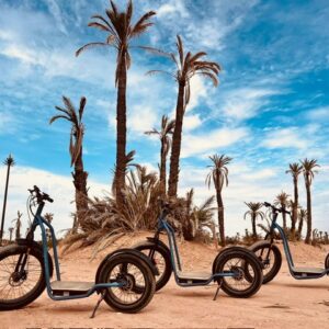 Palmeraie : Trottinette électrique tout terrain