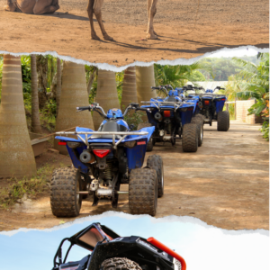 PACK Quad-Buggy à la Palmeraie