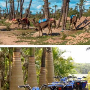 PACK Quad-chameau à la Palmeraie